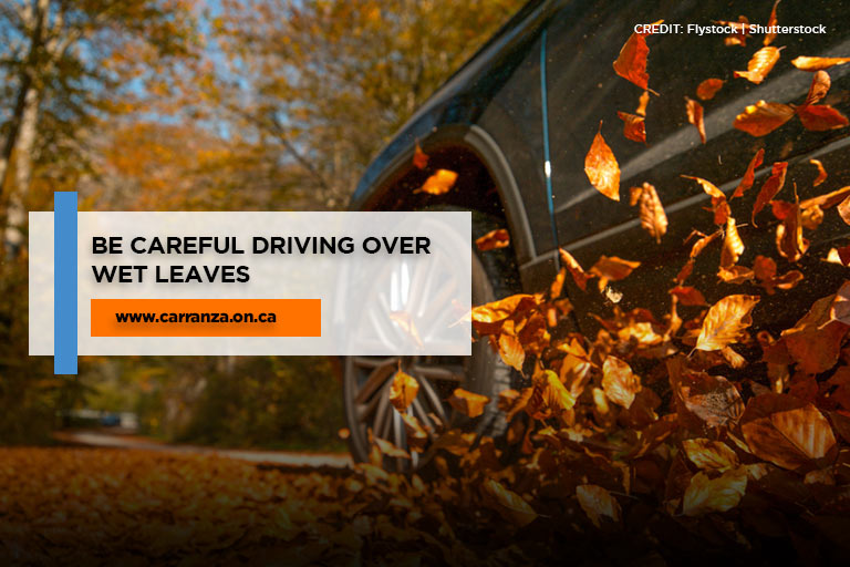 Be careful driving over wet leaves