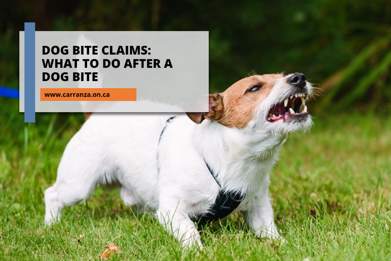 can you get sued if your dog bites someone